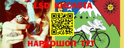 дмт Камышлов