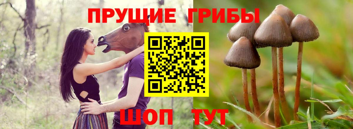 наркошоп  Псилоцибиновые грибы мухоморы  Галлюциногенные грибы GOLDEN TEACHER  Вход с VPN  Лыткарино 