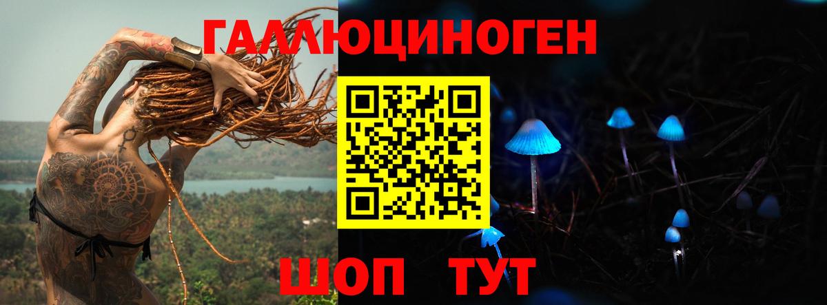 Галлюциногенные грибы Cubensis Лыткарино